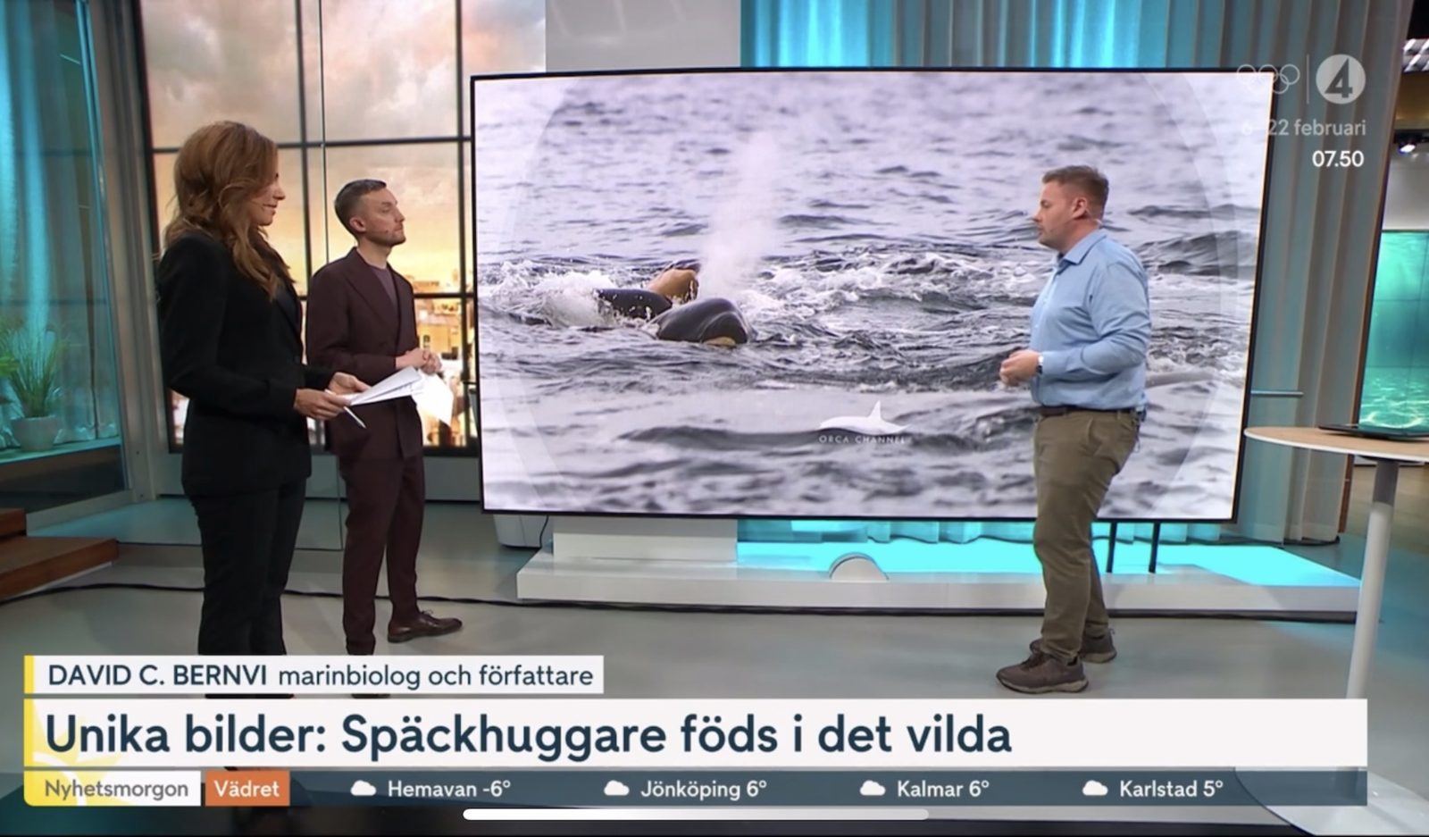 Omslagsbild: Marinbiologiskt nyhetssvep i Nyhetsmorgon