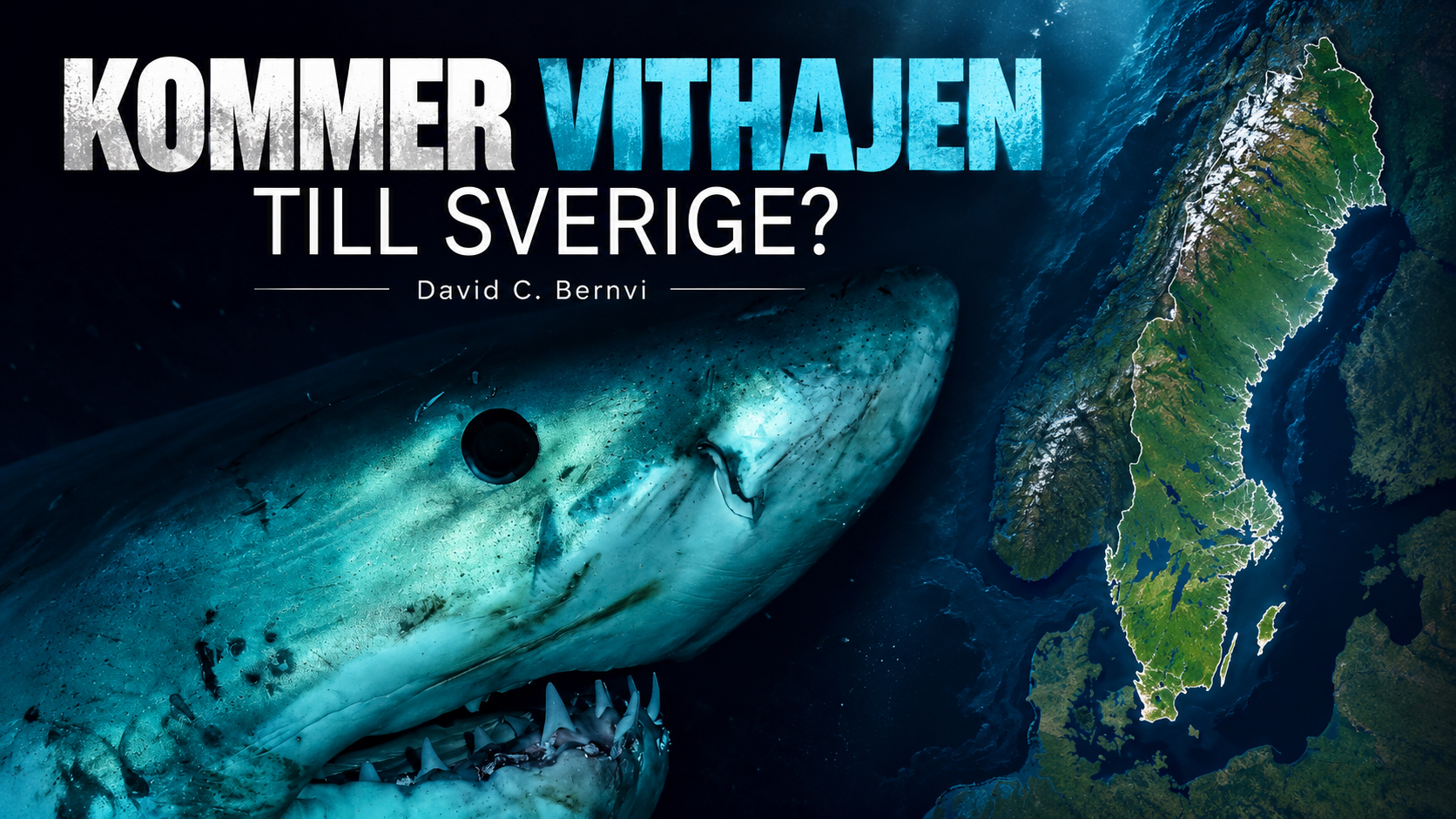 Kommer vithajen till Sverige i ett varmare klimat?