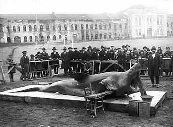 1920_marmarsjön_turkiet.jpg